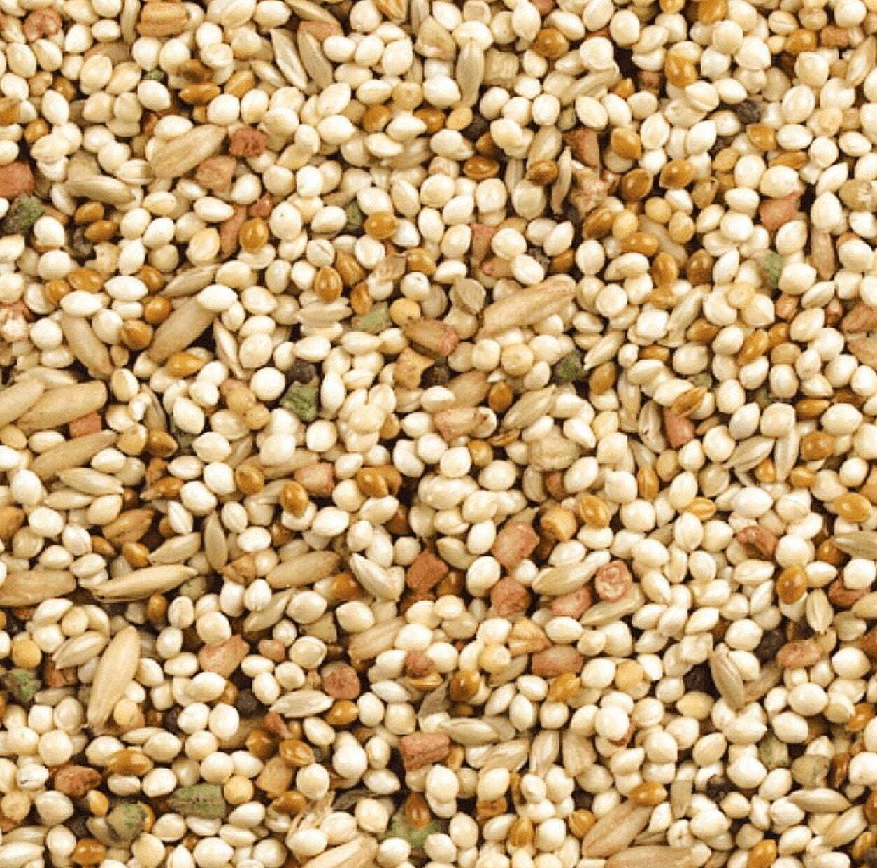  Daily Blend Nutrition Diet Bird Food for Parakeet, Canary and Finch 10 Pounds