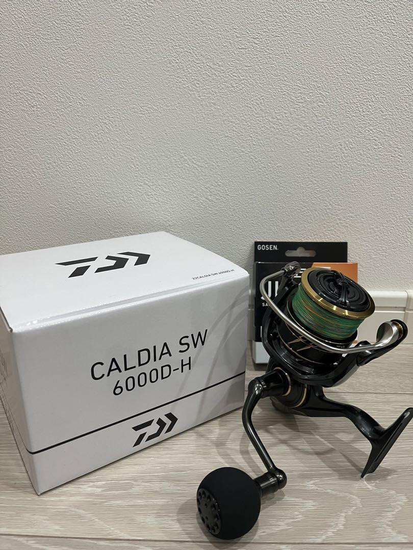 Daiwa Caldia Sw 6000D-H | eBay Daiwa Caldia Sw 6000D-H | eBay