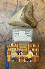 Real talk Edition Reckless metals USA SGP .999 Silver Bar with Capsule & COA
