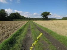 Photo 12x8 Footpath and stubble field Haverhill/TL6645  c2015