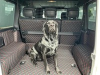 Carstyler® Exklusive Kofferraummatte FüR Range Rover Velar Faden Rot