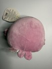 NWT Squishmallows 5" Rou the Walrus Mini Rainbow Swirl Plush Stuffed Animal Gift — photo 3
