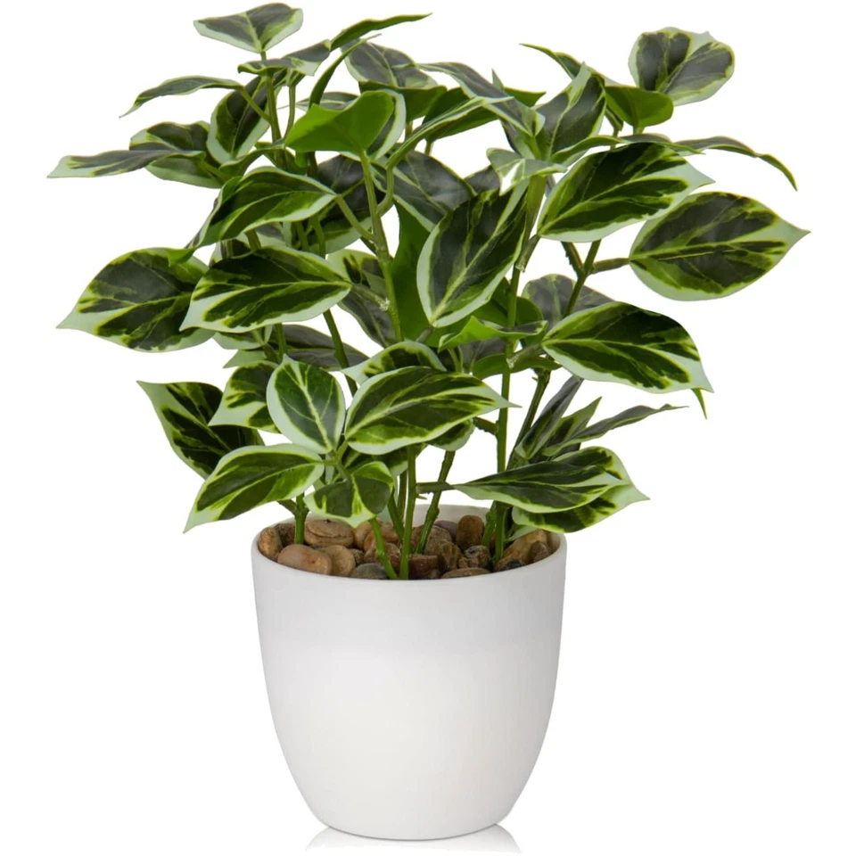 Kunstpflanze Ficus im Topf  Dekoration Wohnzimmer Fensterbank - Bild 1 von 4