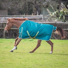 Bridleway Horse Ontario 100g Turnout Rug Waterproof-Breathable Durable