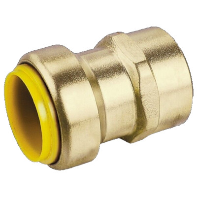 Webstone 1/2'' Push x FIP Female Straight Connector [B1-A12]