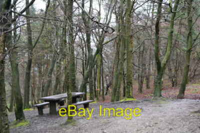 Foto 6x4 Tisch zwischen Bäumen Am Rande des Parkplatzes Black Rock. c2014