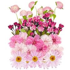 42 Pcs Pink Dried Pressed Flowers for Resin Crafts - Begonia, Sakura, Marguer...