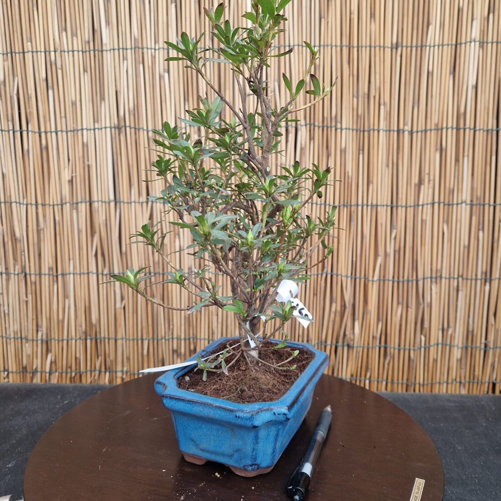 Foto 3 di 8