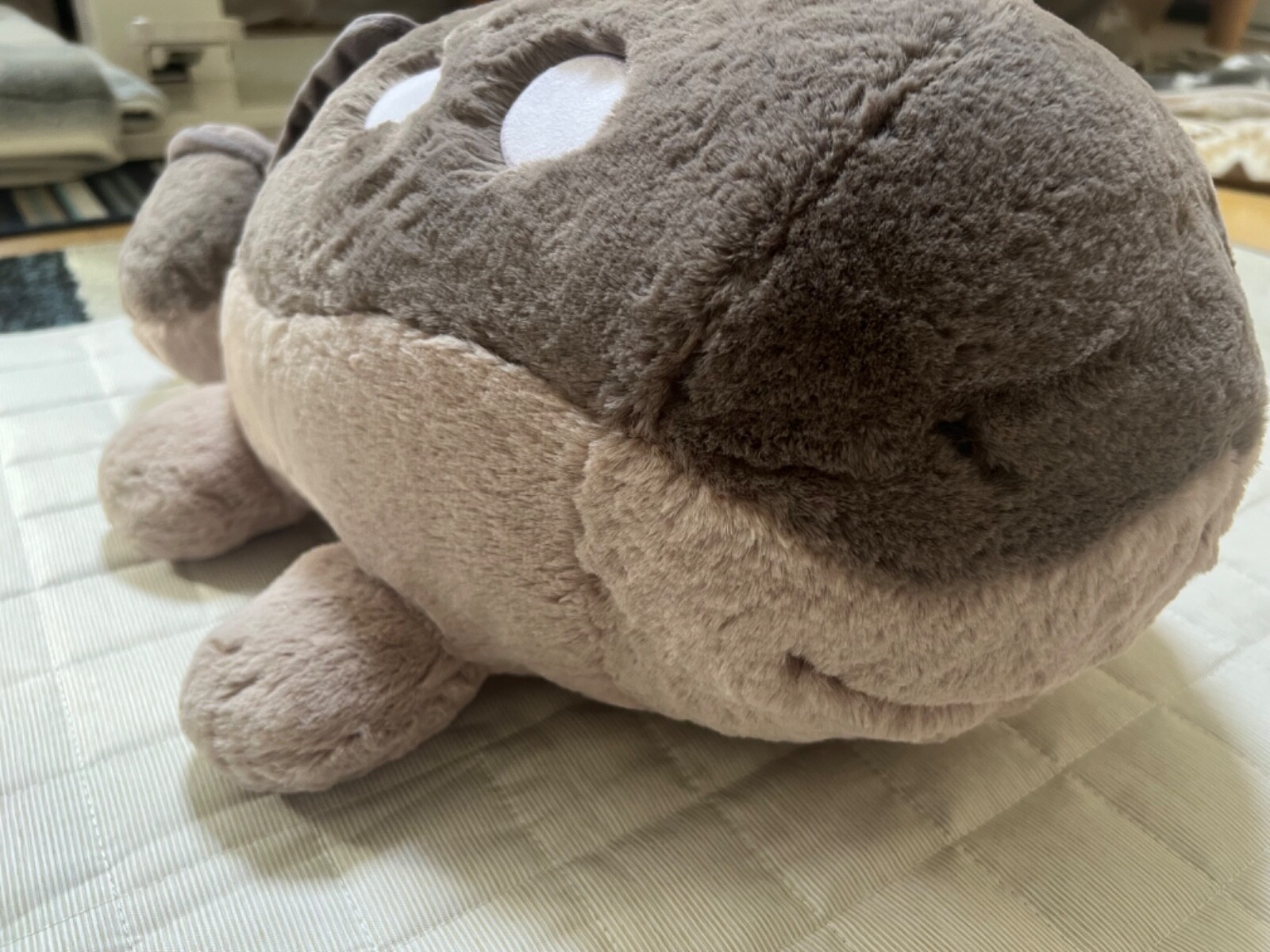 Clodsire Pokémon Fluffy hugging Fuwa Fuwa Dakko Comfy Friends Pokemon