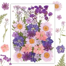 Dried Flowers for Resin Dried Flowers for Craft 35 PCS Dried Pressed Flowers ...