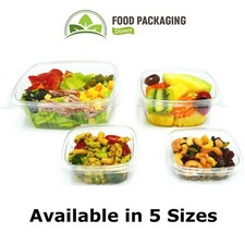 Clear Plastic Containers with Hinged Lid | Snack/Box/Deli/Takeaway/Food/Salad