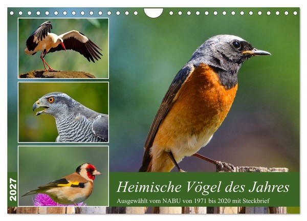 "Calendar 2027 · US Version · Native Birds Of The Year (Wall Calendar 2027 12\" ×"-image