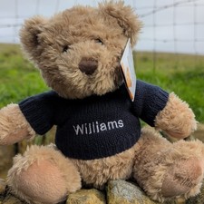 Williams Beige Plush Teddy Bear Soft Toy with Navy Jumper Shirt