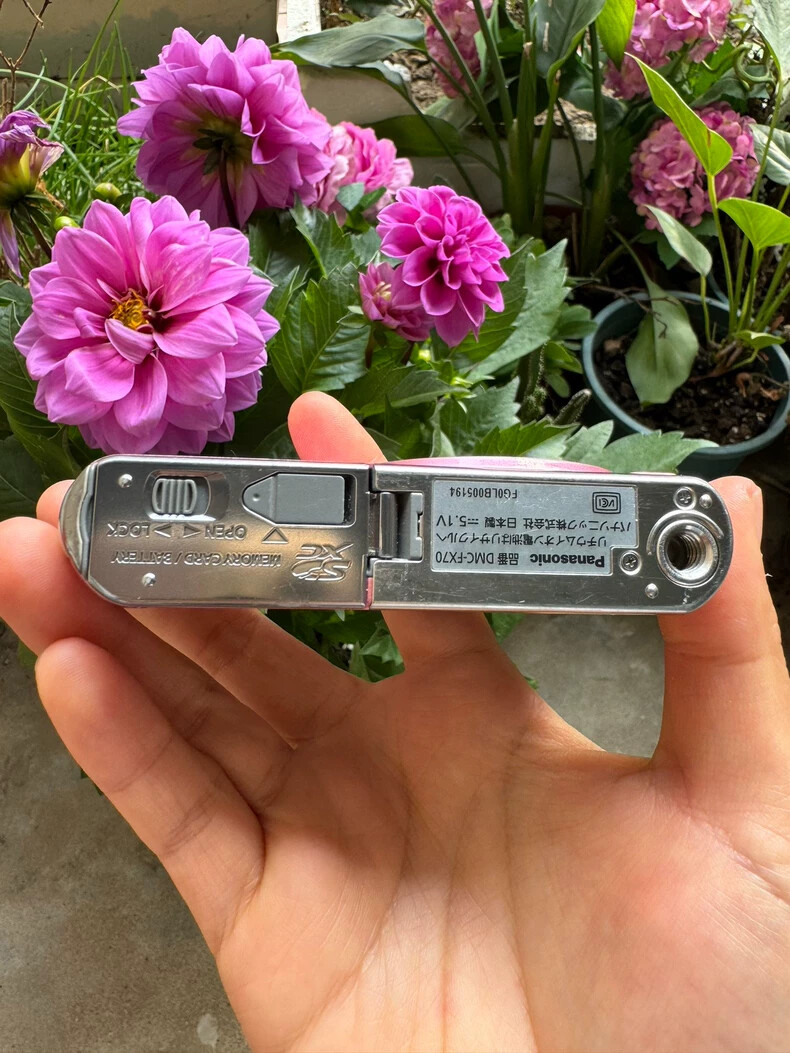 Panasonic Lumix DMC-FX70 Pink Compact Digital Camera Only Japanese