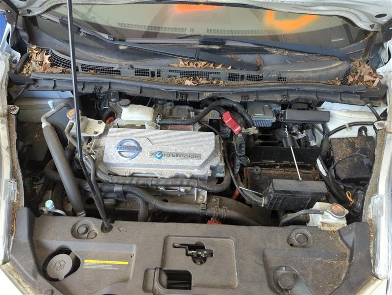 Conjunto de puerta delantera izquierda usado se adapta a: Nissan Leaf 2011 eléctrico delantero izquierdo G Foto 2 de 4