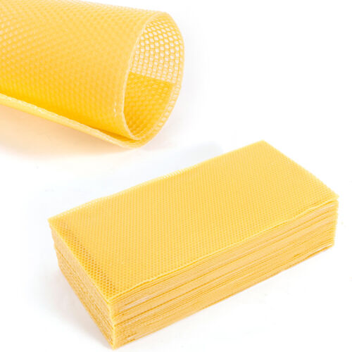 30pc Honeycomb Foundation Bee Hive Wax Frames Beekeeping Beehive Nest Sheet Tool