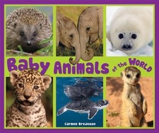 Baby Animals of the World (Nature's Baby Animals) by Bredeson, Carmen, Acceptabl