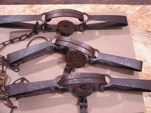 (3) VINTAGE ONEIDA VICTOR NO 2 LONG SPRING ANIMAL TRAPS – DOUBLE SPRING