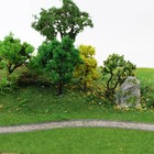 Foto 7 di 7