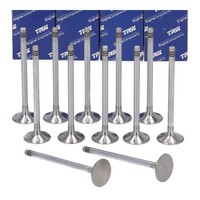 12X TRW Einlassventil FüR BMW E90-E93 E60 E61 X3 E83 X5 X6 M57 N57 11347799612