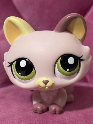 Collecting Littlest Pet Shop as an adult