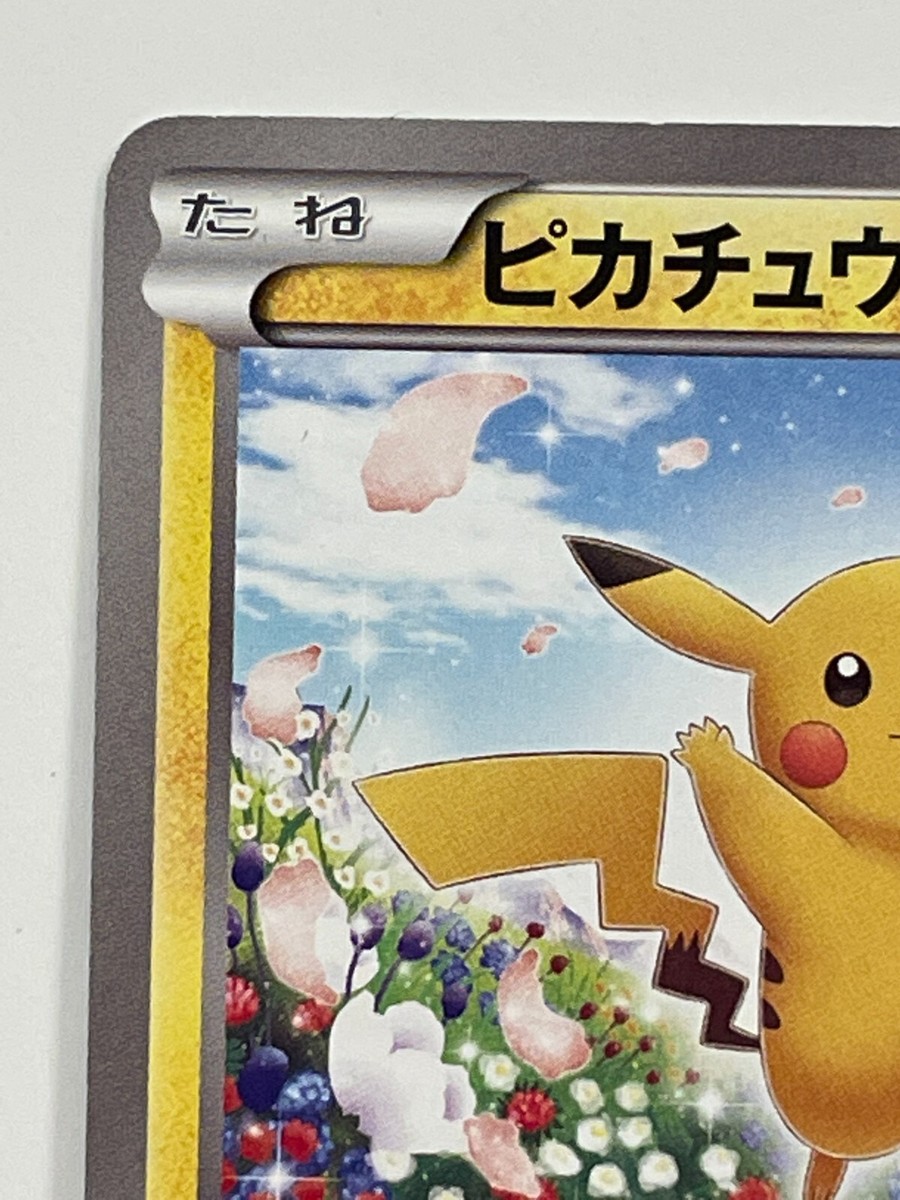 Pikachu 151/BW-P Cardgame Classroom Promo 2012 Pokemon Free