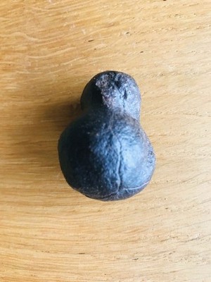 T17 XL Moqui Marbles -Lebende Steine - wunderschöne Twins - aus Utah/USA-Nr. T17