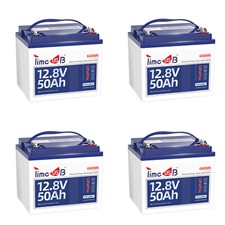 2/3/4 Pack 12V 50Ah LiFePO4 Lithium Battery with Low-Temp Protection For Camping