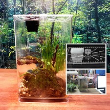 Small LED Acrylic Enclosure Terrarium Supplies Tarantula Scorpion Reptile Tank