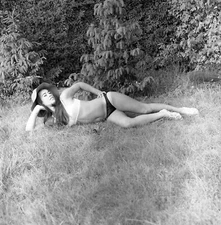 1960s Negative-sexy brunette pinup girl-Girls of Scandinavia n324638 