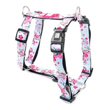 Max & Molly Dog H Harness Cherry Bloom Size Large New Free Shipping!