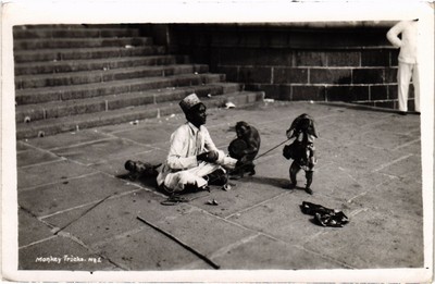 PC INDIA MONKEY TRICKS (a71770)