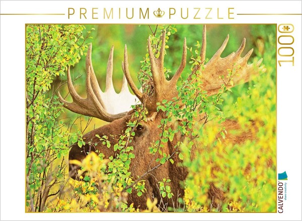 Calvendo Puzzle The Moose: King Of The Deer | 1000 Pieces, Finished Size 25.2 ×-image