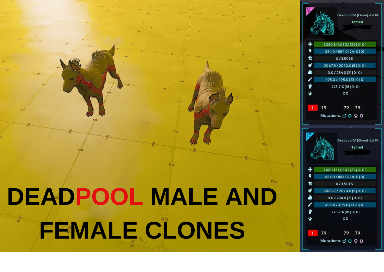 ARMADOGGO Clones Deadpool Ark Survival Ascended Official PVE