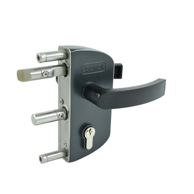 Gartentorschloss Locinox LAKZ4040 P1L für 40 mm RAL 7016