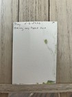 ACEO Original Squirrel Home Woodland Animal Acrylic Art Forest Illustration — photo 2