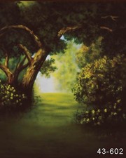 Pro 10'x20' Muslin 100 Airbrush Painted Photo Backdrop Background 43-602