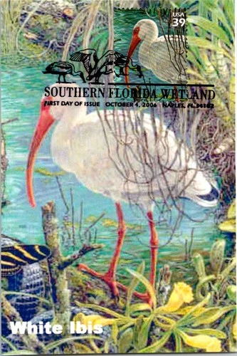Dr Jim Stamps Maximum Card 39c Southern Florida Wetland White Ibis First Day
