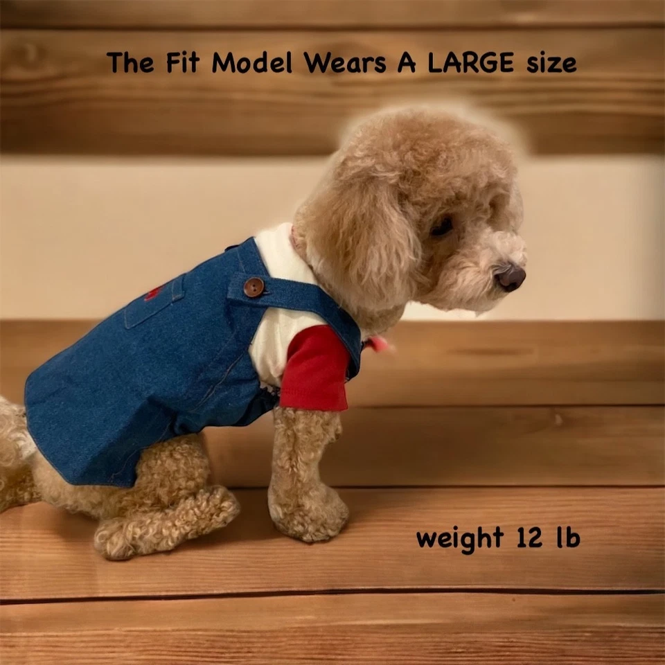 Pet Clothes / Pet Denim / Dog Overalls / Denim Overalls / Dog cute Dress - Image 4 of 4