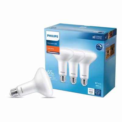 65-Watt Equivalent BR30 Dimmable E26 LED Light Bulb Soft White 2700K (3-Pack)