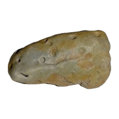 Echter Hühnergott vom Steinhuder Meer   Natur-Lochstein / Glücksbringer (35g) 