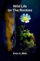 Enos A. Mills | Wild Life On The Rockies | Taschenbuch | Englisch (2025)