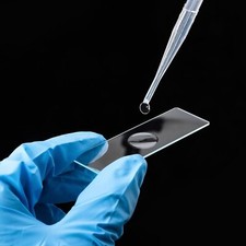 50Pcs Microscope Slides Concave Single concave Glass Slide Single Depression USA