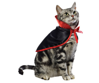 Savvy Tabby Black Cat Cape w/ jeweled neckline and belt Halloween costume  Small