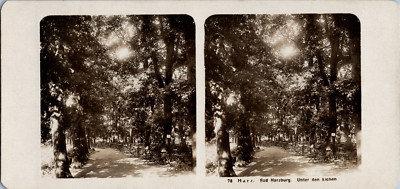 Germany, Harz, Bad Harzburg, unter der Eichen Vintage Stereo Card Ar Print
