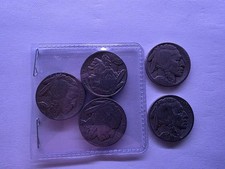 5 Buffalo Nickels