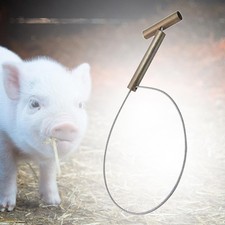 Schweinehalter, Schweinef&auml;nger, lange Stange, Edelstahl, f&uuml;r Schweinefarm,