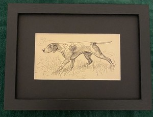 Pointer "On Point" MATTED | FRAMED | READY TO GIFT - 1950 Vintage Dog Art Print