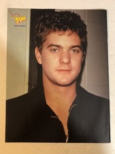 Joshua Jackson Dawson’s Creek Teen Magazine Pinup Vtg Original