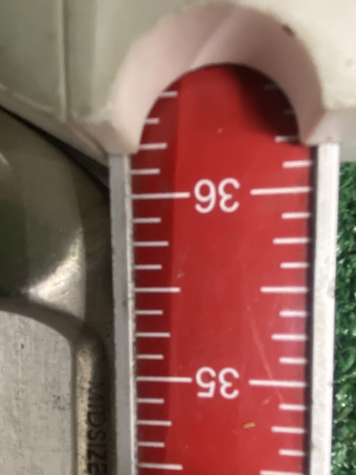 Picture 11 of 11